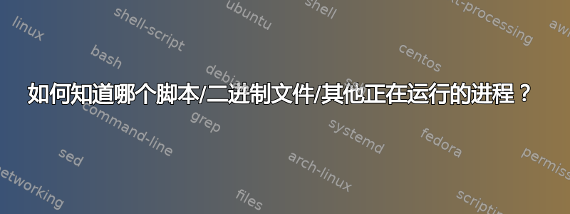 如何知道哪个脚本/二进制文件/其他正在运行的进程？