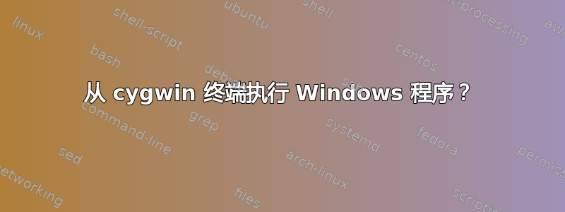 从 cygwin 终端执行 Windows 程序？