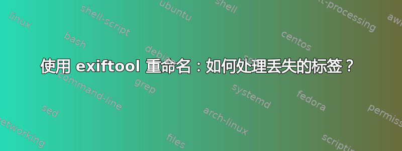 使用 exiftool 重命名：如何处理丢失的标签？