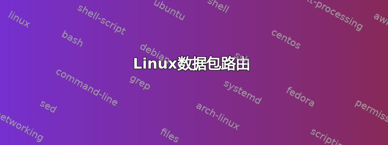 Linux数据包路由