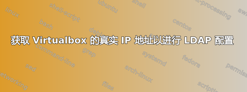 获取 Virtualbox 的真实 IP 地址以进行 LDAP 配置