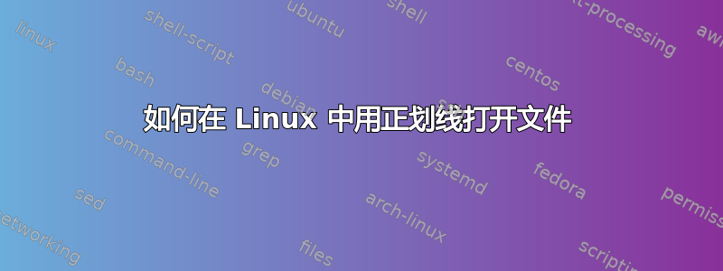 如何在 Linux 中用正划线打开文件