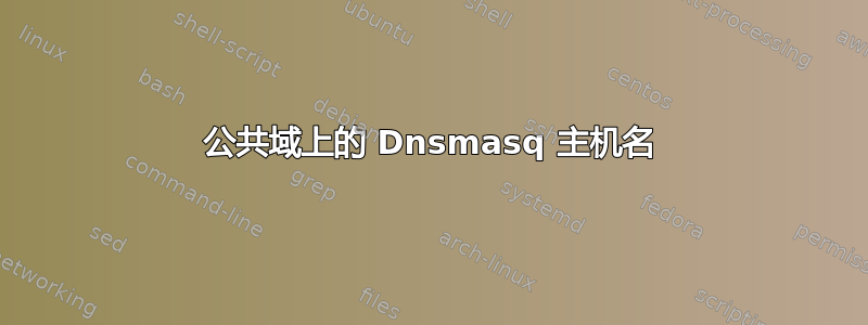 公共域上的 Dnsmasq 主机名