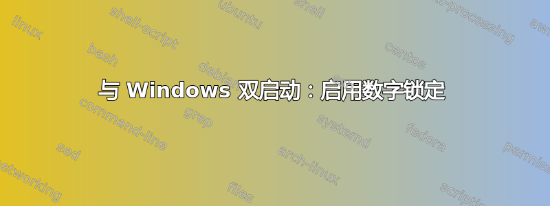 与 Windows 双启动：启用数字锁定