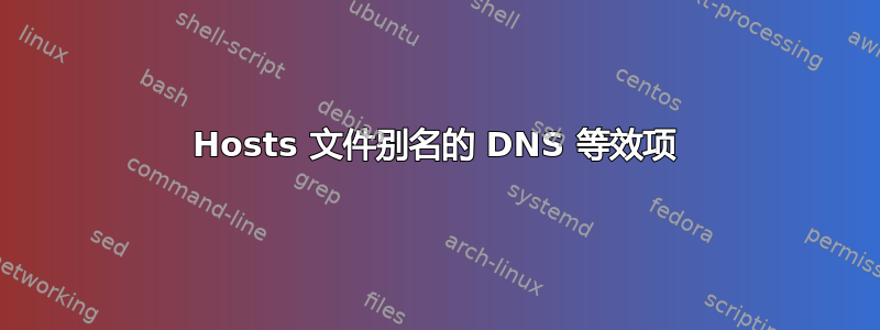 Hosts 文件别名的 DNS 等效项