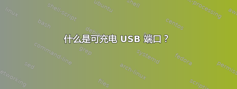 什么是可充电 USB 端口？