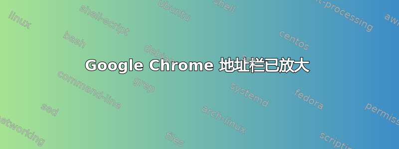 Google Chrome 地址栏已放大