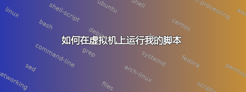 如何在虚拟机上运行我的脚本