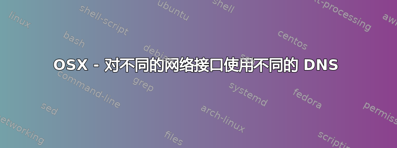 OSX - 对不同的网络接口使用不同的 DNS