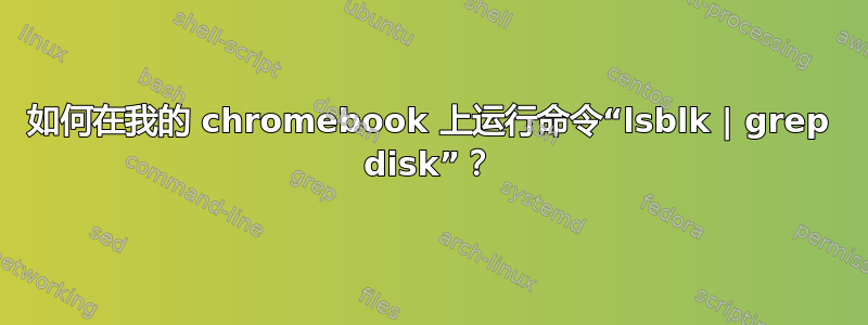 如何在我的 chromebook 上运行命令“lsblk | grep disk”？