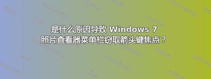 是什么原因导致 Windows 7 照片查看器菜单栏窃取箭头键焦点？