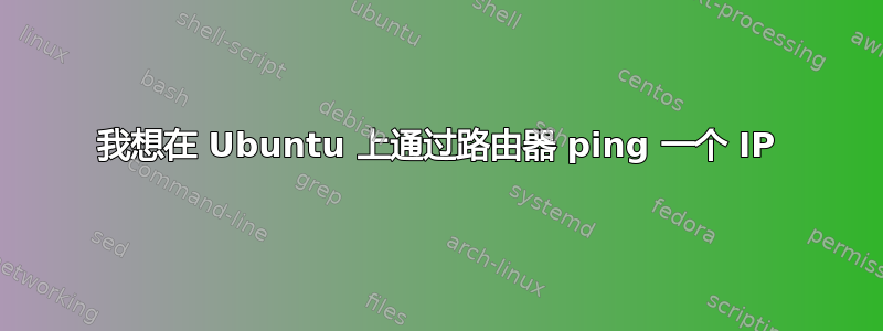 我想在 Ubuntu 上通过路由器 ping 一个 IP