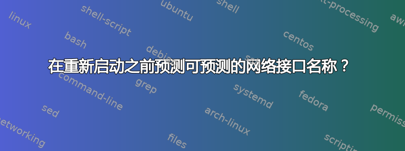 在重新启动之前预测可预测的网络接口名称？