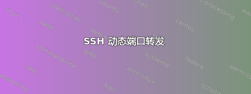 SSH 动态端口转发