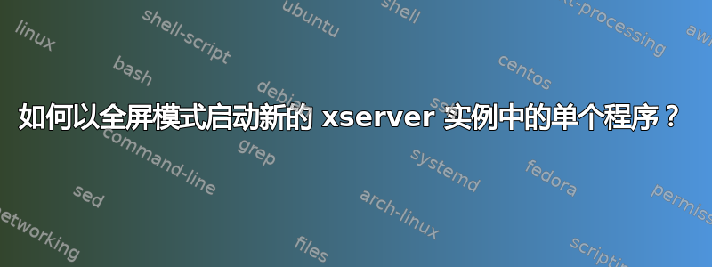 如何以全屏模式启动新的 xserver 实例中的单个程序？