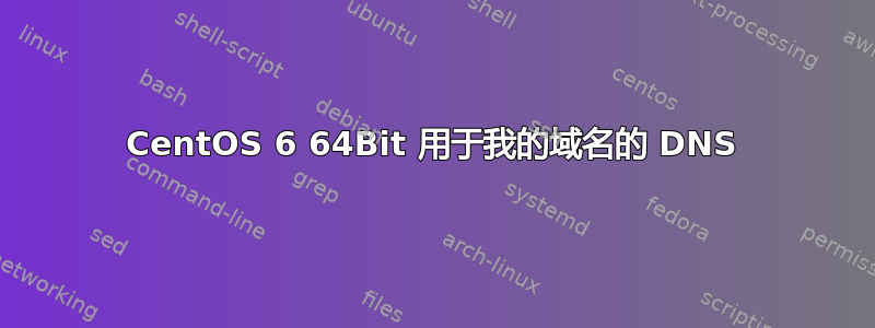 CentOS 6 64Bit 用于我的域名的 DNS