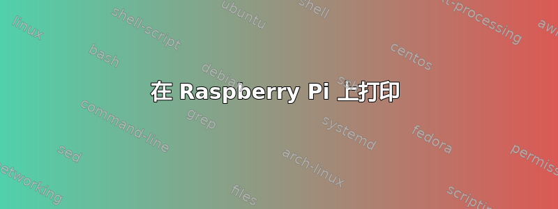 在 Raspberry Pi 上打印