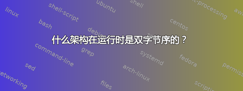 什么架构在运行时是双字节序的？