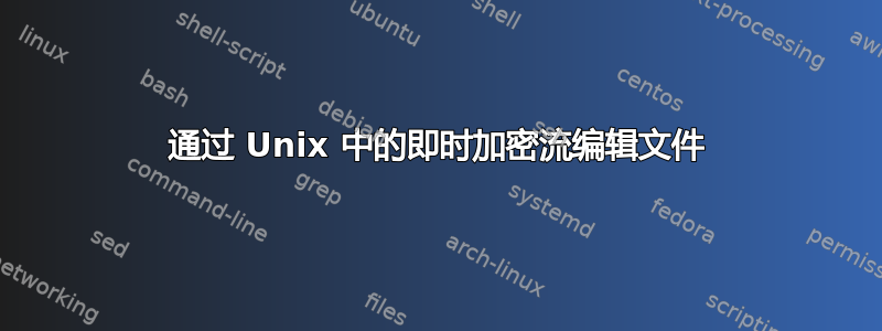 通过 Unix 中的即时加密流编辑文件