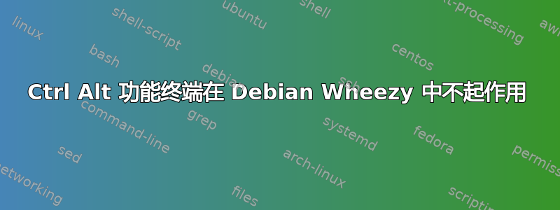 Ctrl Alt 功能终端在 Debian Wheezy 中不起作用