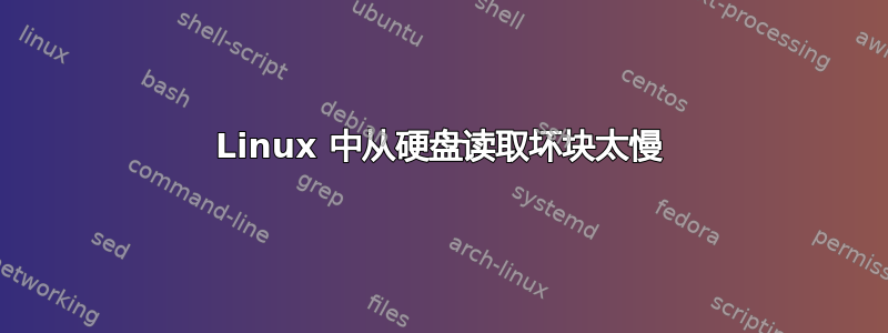 Linux 中从硬盘读取坏块太慢