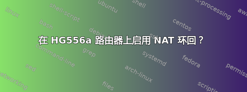 在 HG556a 路由器上启用 NAT 环回？