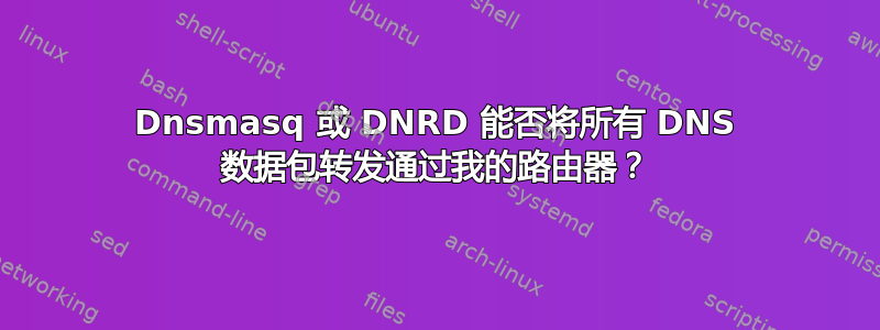 Dnsmasq 或 DNRD 能否将所有 DNS 数据包转发通过我的路由器？