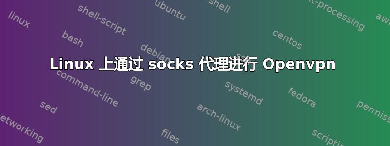 Linux 上通过 socks 代理进行 Openvpn