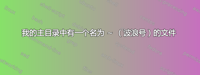 我的主目录中有一个名为 ~ （波浪号）的文件