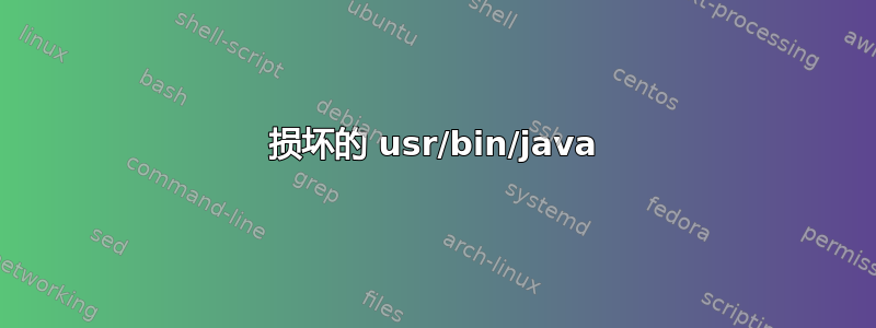 损坏的 usr/bin/java