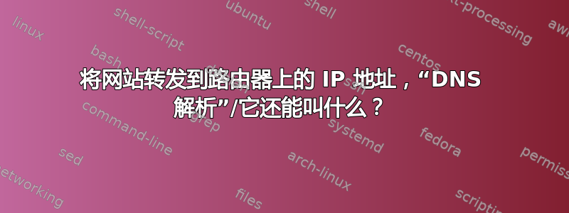 将网站转发到路由器上的 IP 地址，“DNS 解析”/它还能叫什么？