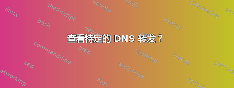 查看特定的 DNS 转发？