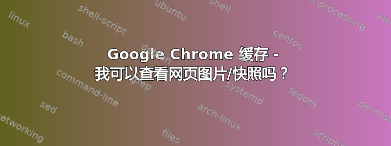 Google Chrome 缓存 - 我可以查看网页图片/快照吗？