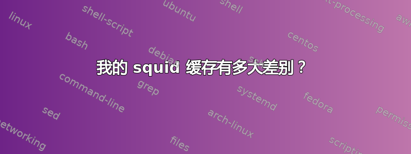 我的 squid 缓存有多大差别？