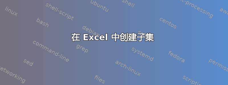 在 Excel 中创建子集