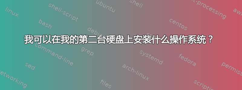 我可以在我的第二台硬盘上安装什么操作系统？