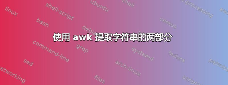 使用 awk 提取字符串的两部分