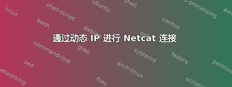 通过动态 IP 进行 Netcat 连接