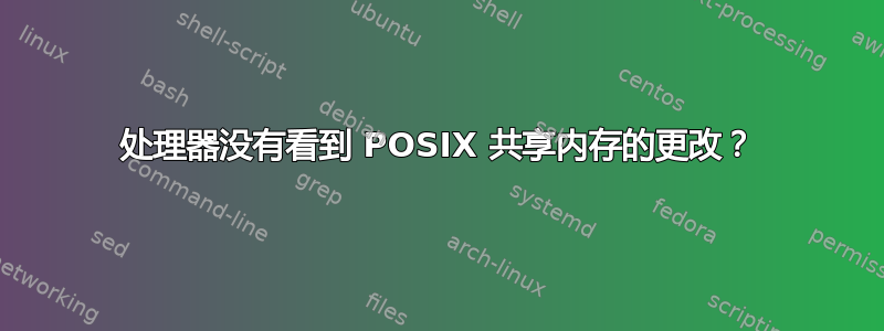 处理器没有看到 POSIX 共享内存的更改？