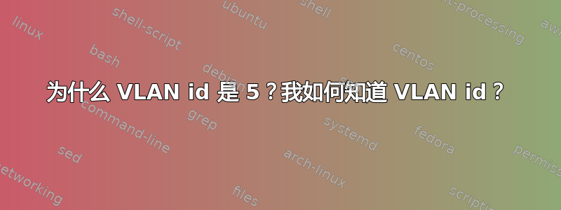 为什么 VLAN id 是 5？我如何知道 VLAN id？