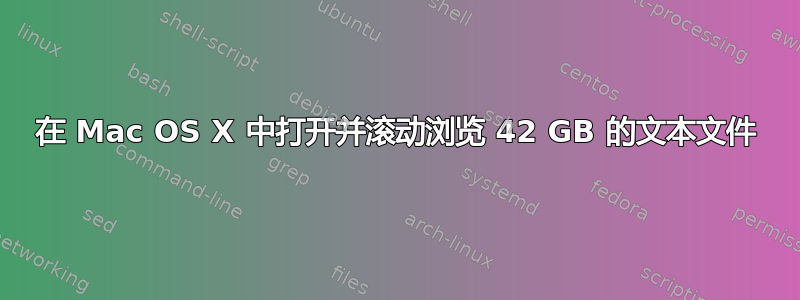 在 Mac OS X 中打开并滚动浏览 42 GB 的文本文件