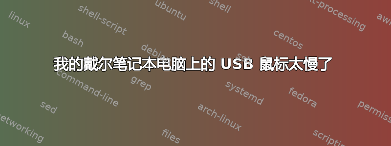 我的戴尔笔记本电脑上的 USB 鼠标太慢了