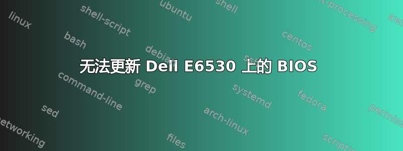 无法更新 Dell E6530 上的 BIOS