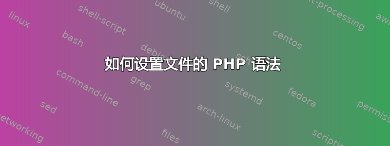 如何设置文件的 PHP 语法