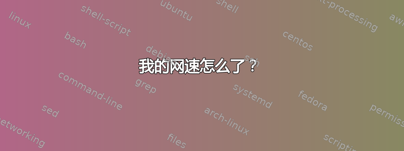 我的网速怎么了？