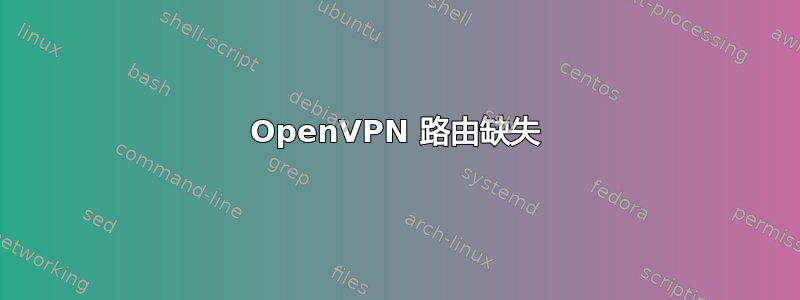 OpenVPN 路由缺失