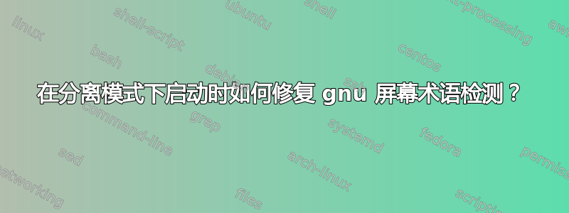 在分离模式下启动时如何修复 gnu 屏幕术语检测？