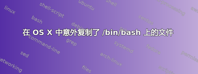 在 OS X 中意外复制了 /bin/bash 上的文件