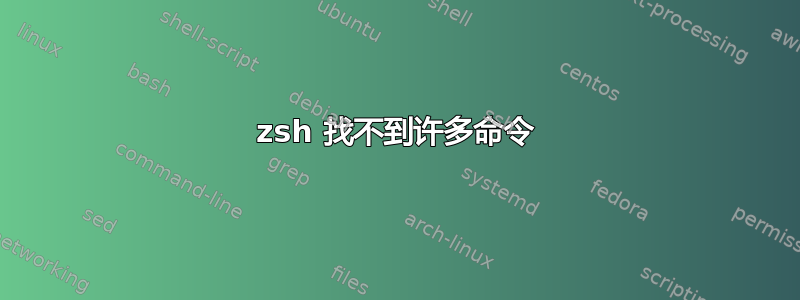 zsh 找不到许多命令