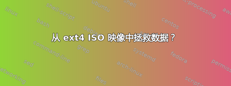 从 ext4 ISO 映像中拯救数据？